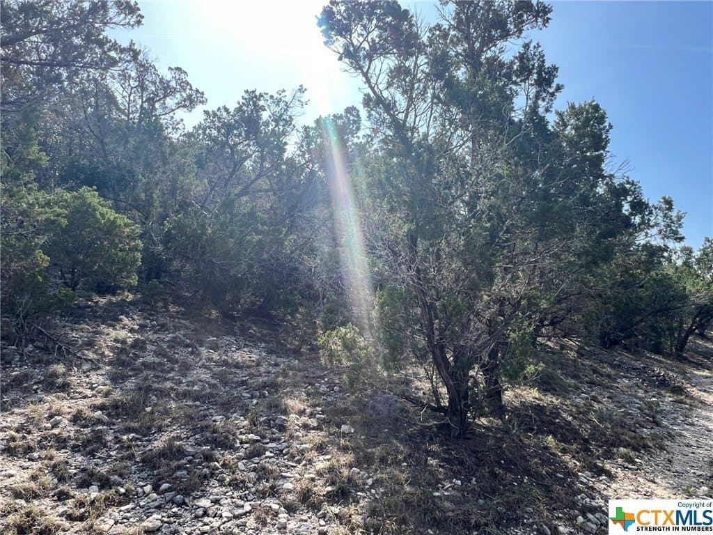 13.71 acres in Comal County - photo 20