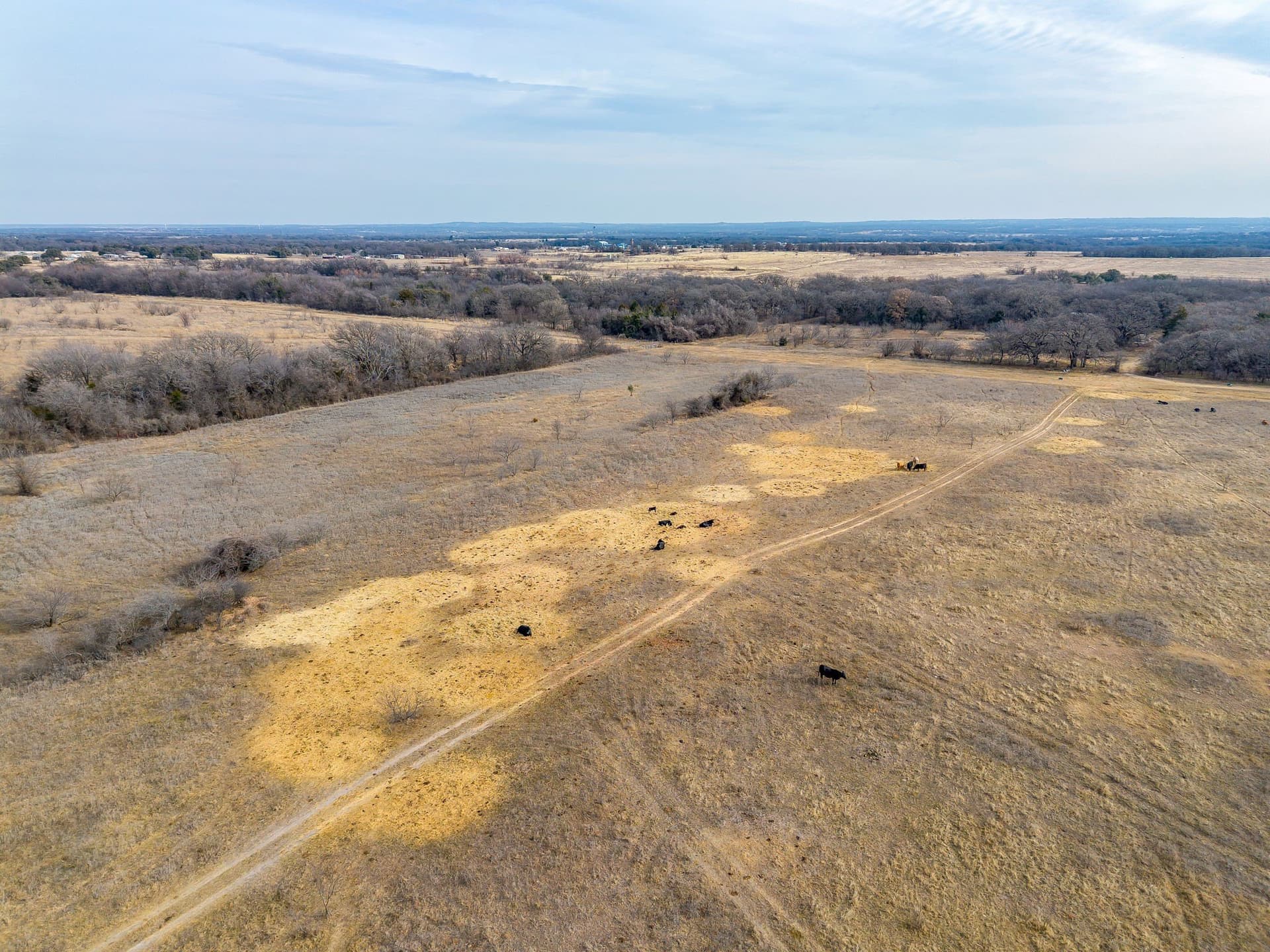 177.33 acres in Wise County - photo 10
