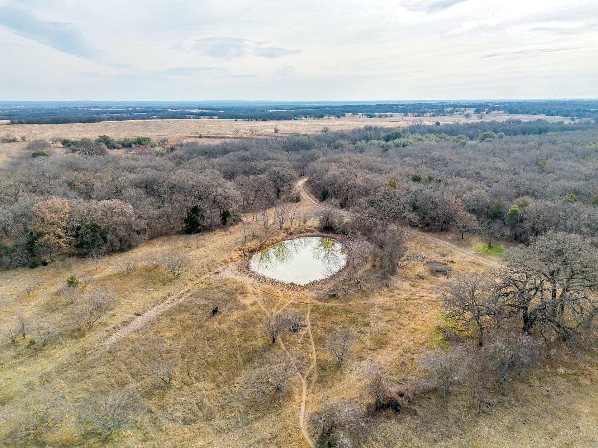 177.33 acres in Wise County - photo 11