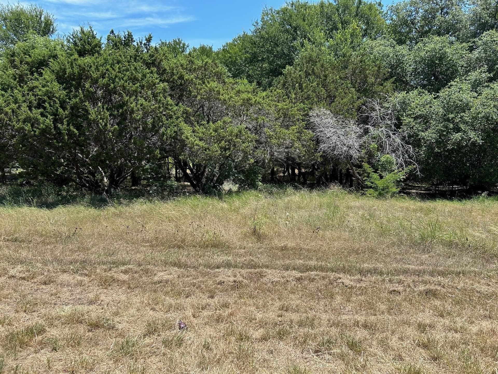 0.33 acres in Hill County gallery image 3
