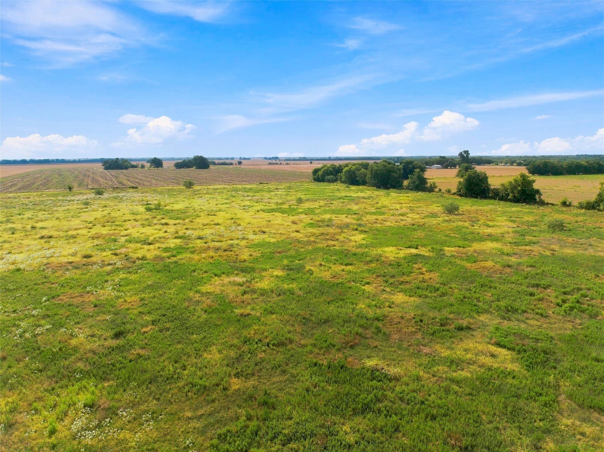 46 acres in Bell County - photo 7