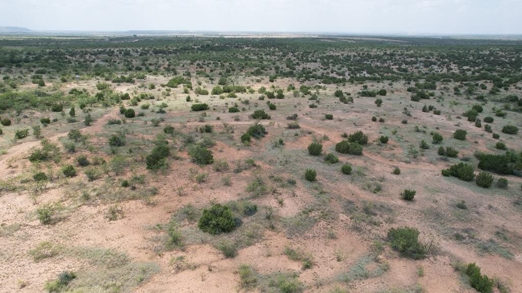 161.24 acres in Runnels County - photo 9