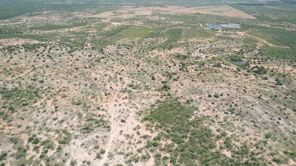 161.24 acres in Runnels County - photo 14