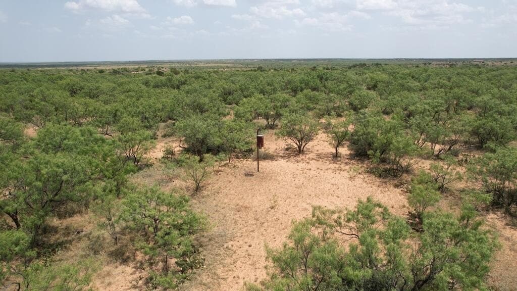 161.24 acres in Runnels County - photo 10