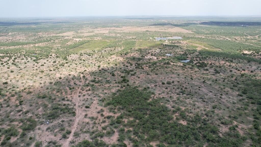 161.24 acres in Runnels County - photo 2