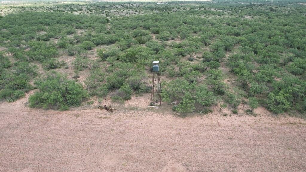 161.24 acres in Runnels County - photo 8