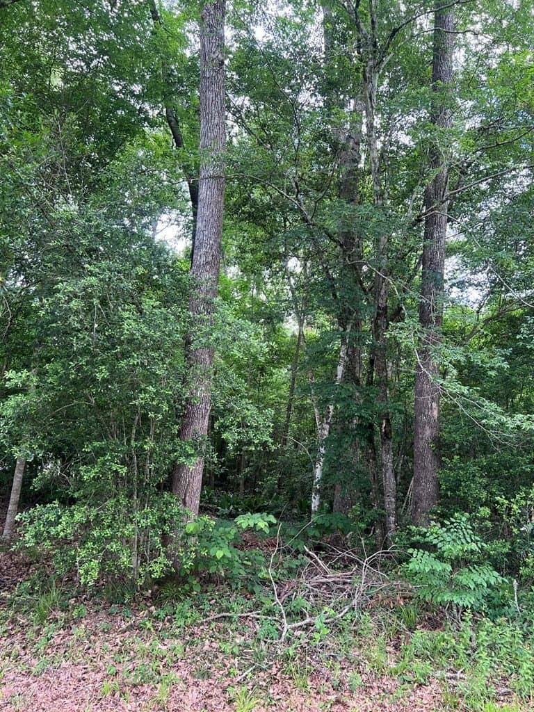 0.79 acres in Texas County - photo 6
