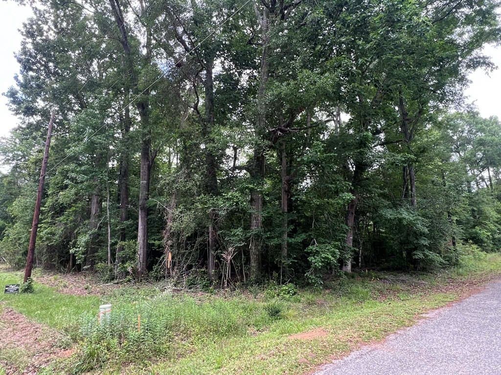 0.79 acres in Texas County - photo 7