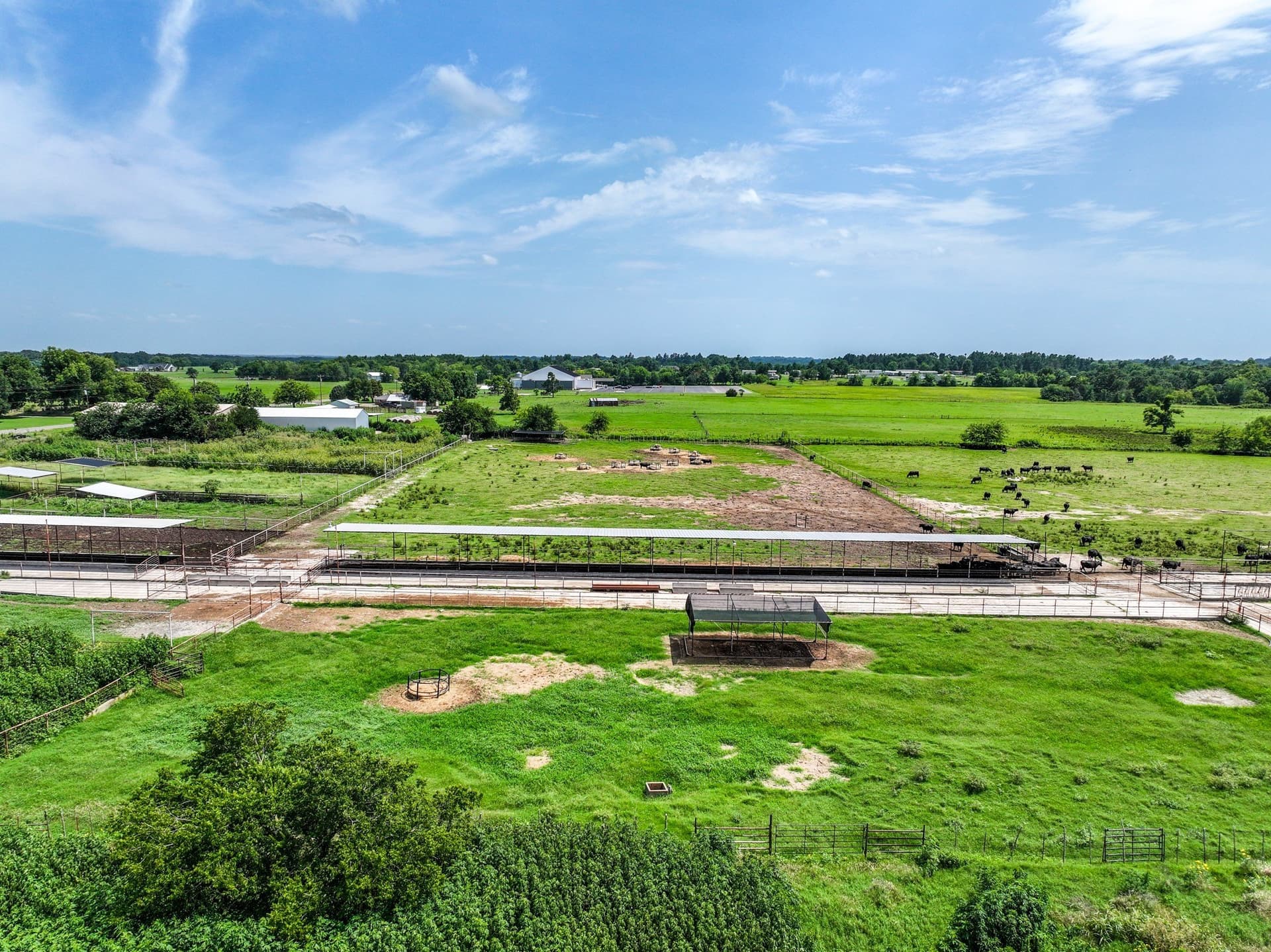 25.45 acres in Hopkins County - photo 15