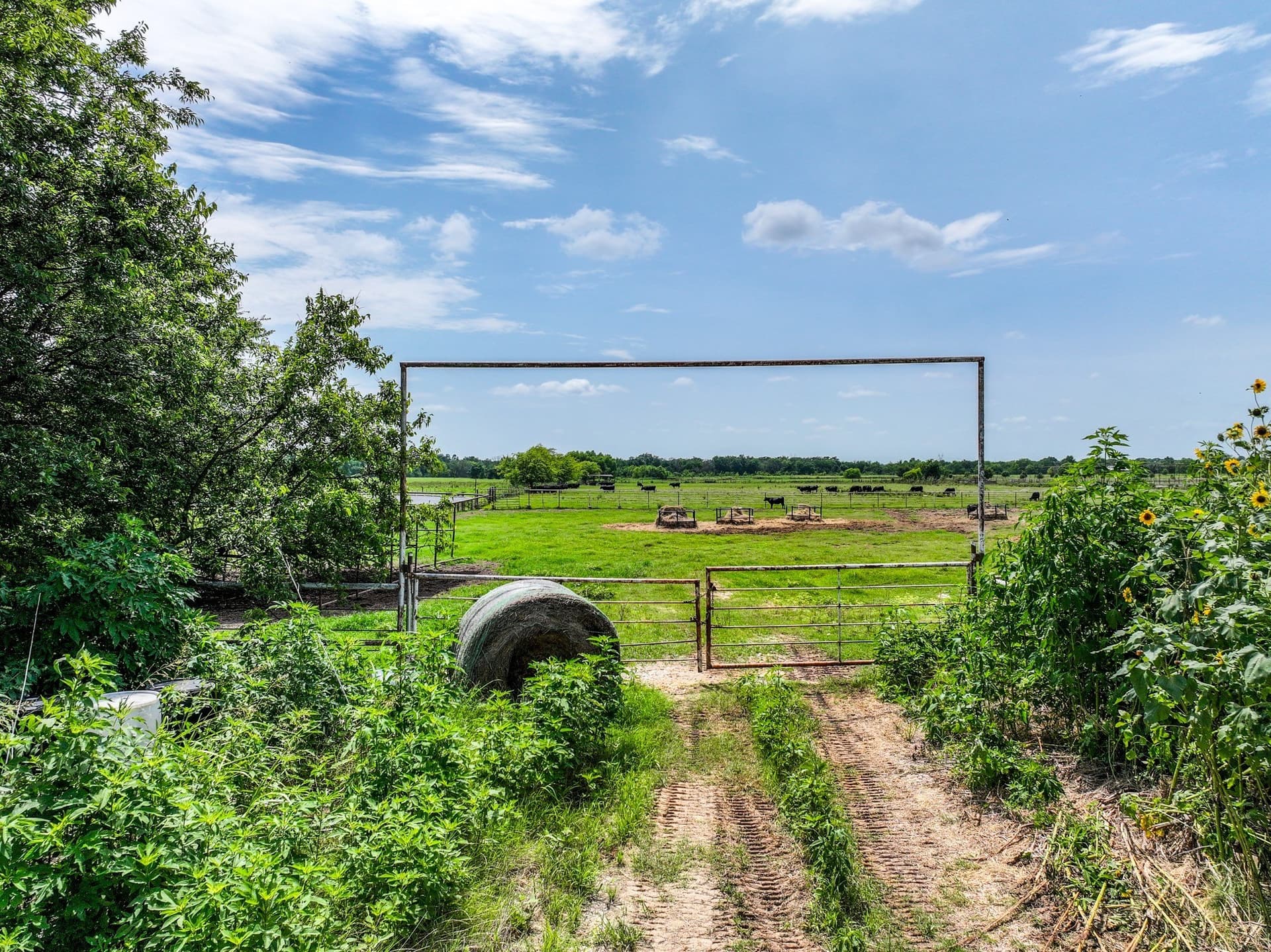 25.45 acres in Hopkins County - photo 14