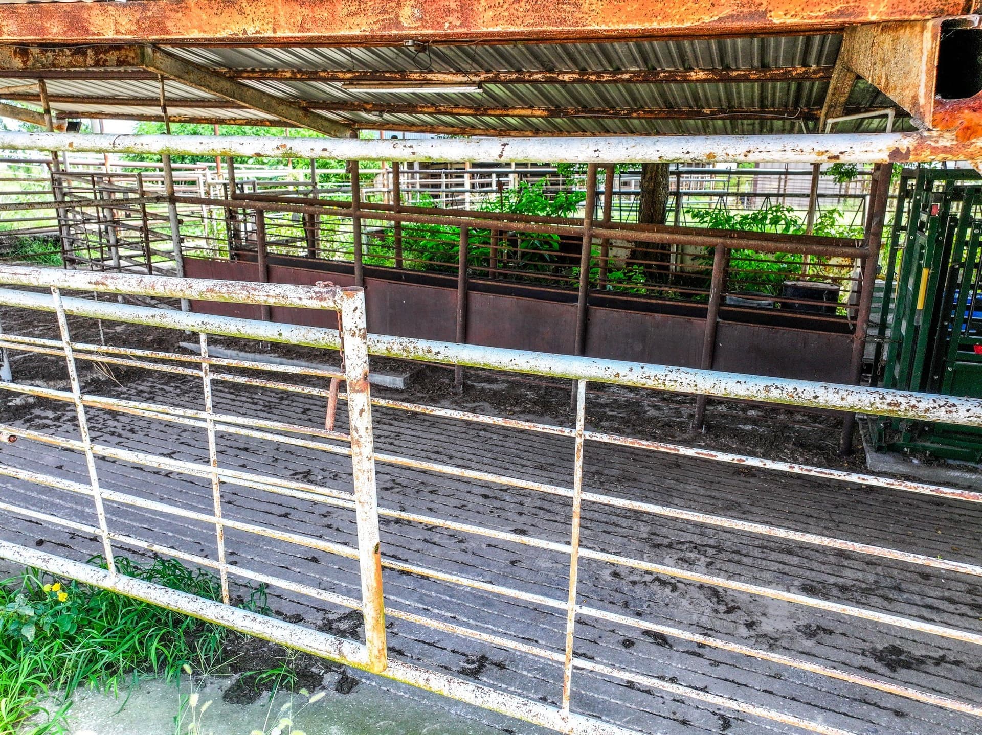 25.45 acres in Hopkins County - photo 10