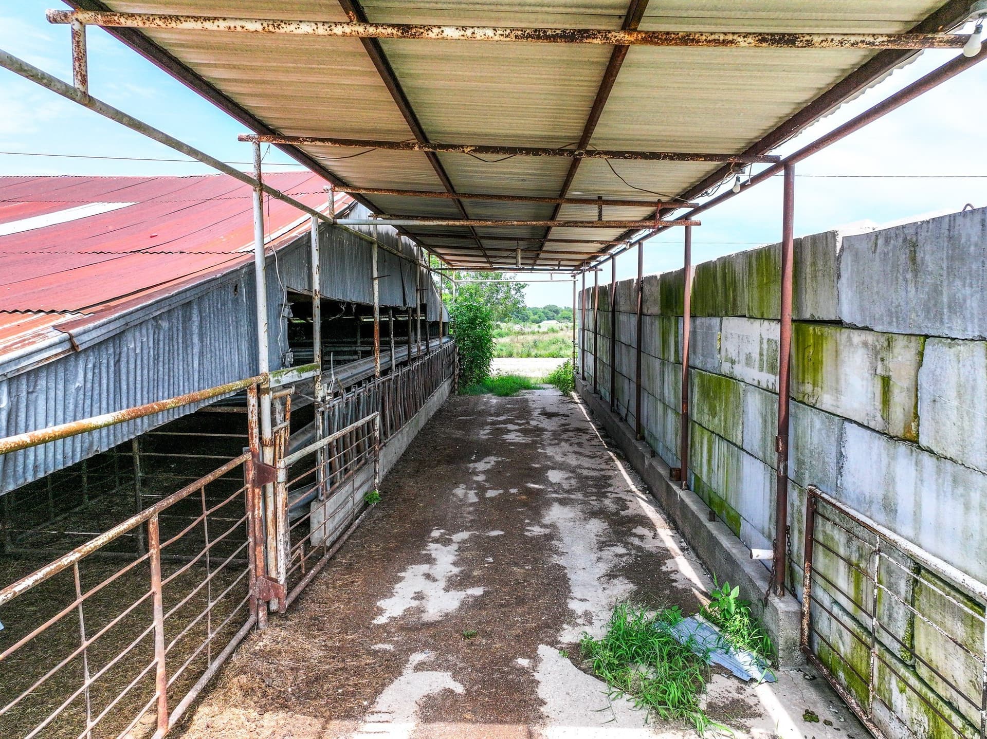 25.45 acres in Hopkins County - photo 33