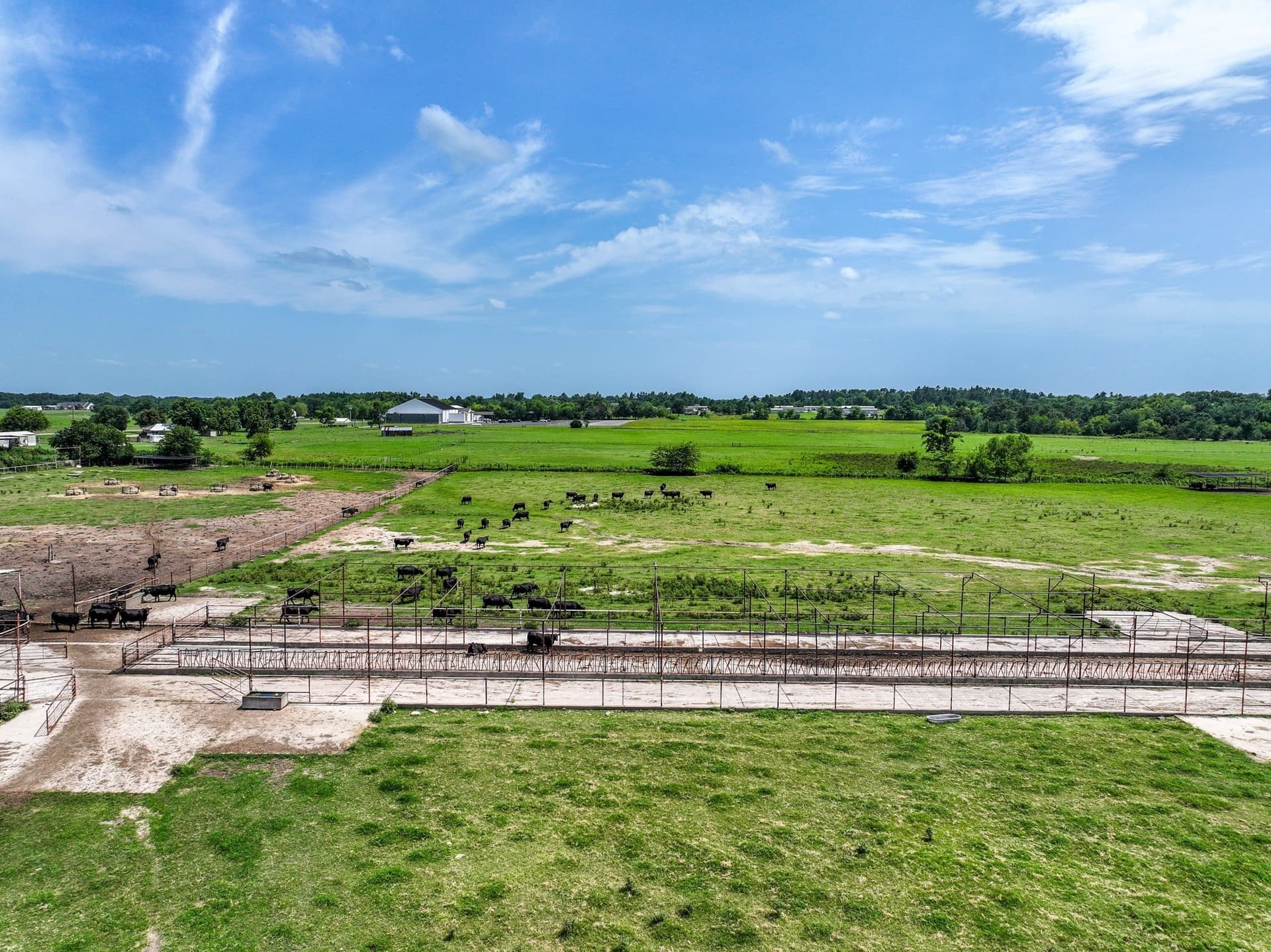 25.45 acres in Hopkins County - photo 16
