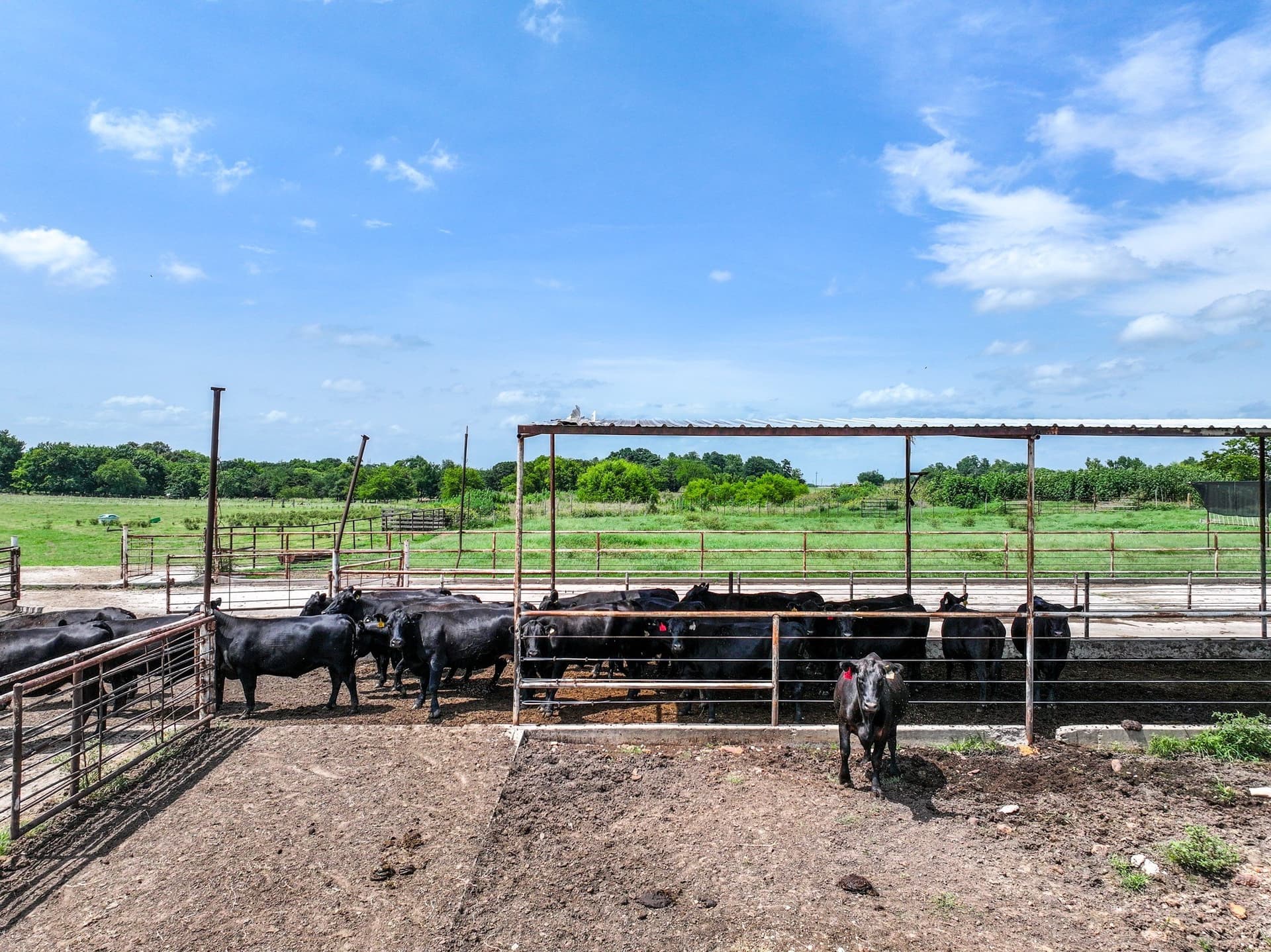 25.45 acres in Hopkins County - photo 23