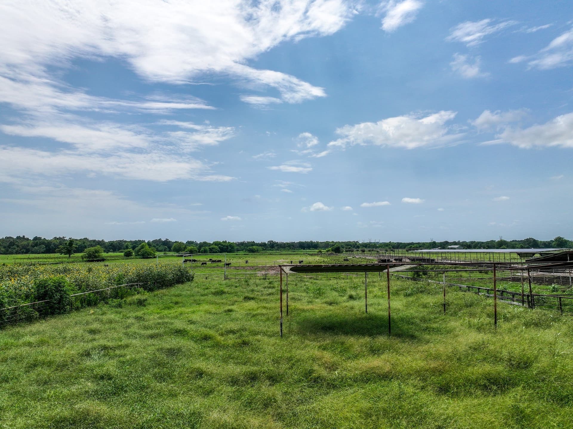 25.45 acres in Hopkins County - photo 27