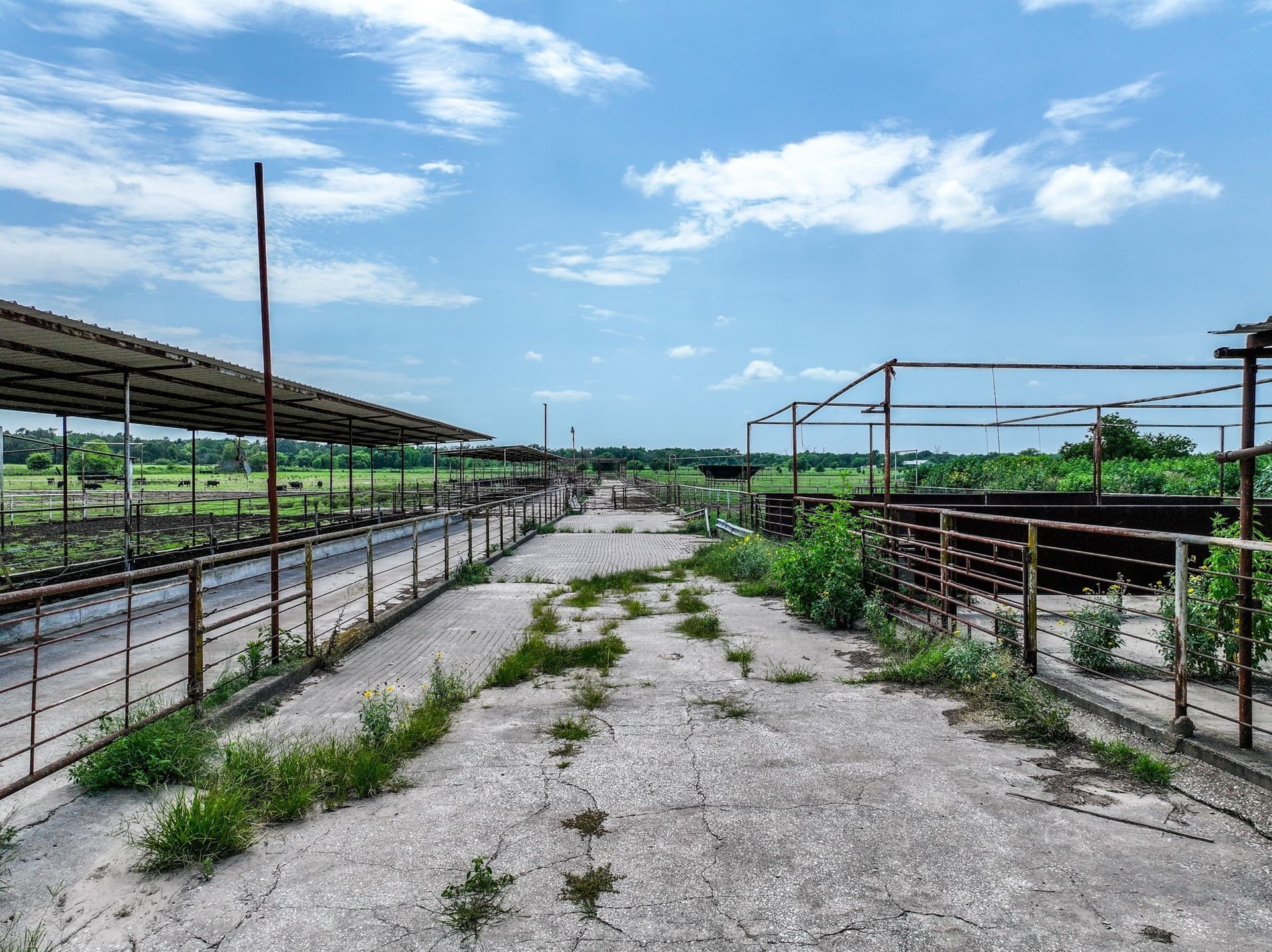 25.45 acres in Hopkins County - photo 18