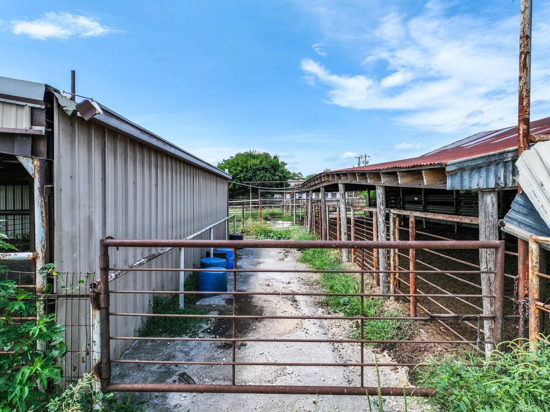 25.45 acres in Hopkins County - photo 32