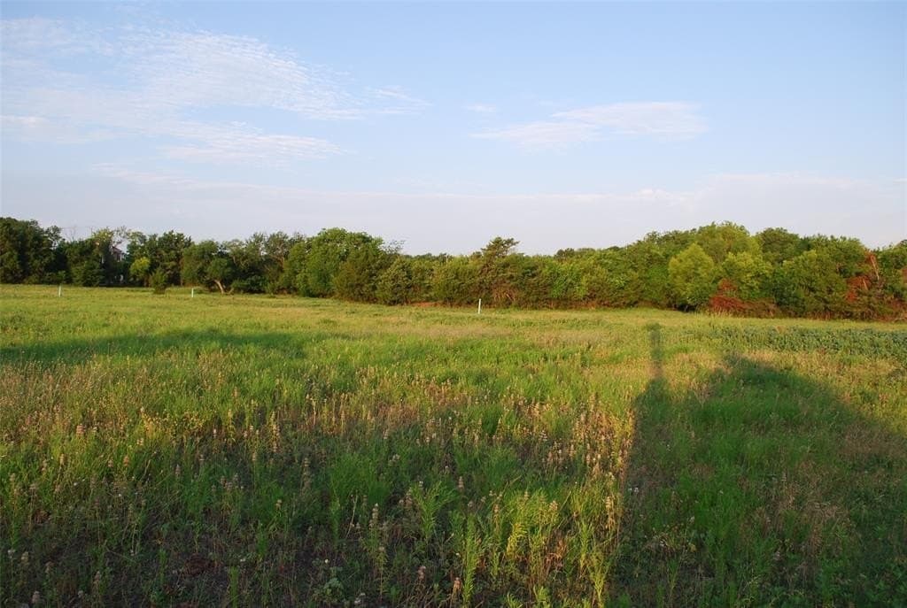 1.53 acres in Rockwall County gallery image 2