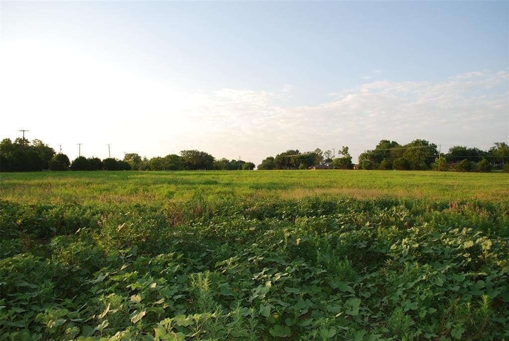 1.53 acres in Rockwall County gallery image 3
