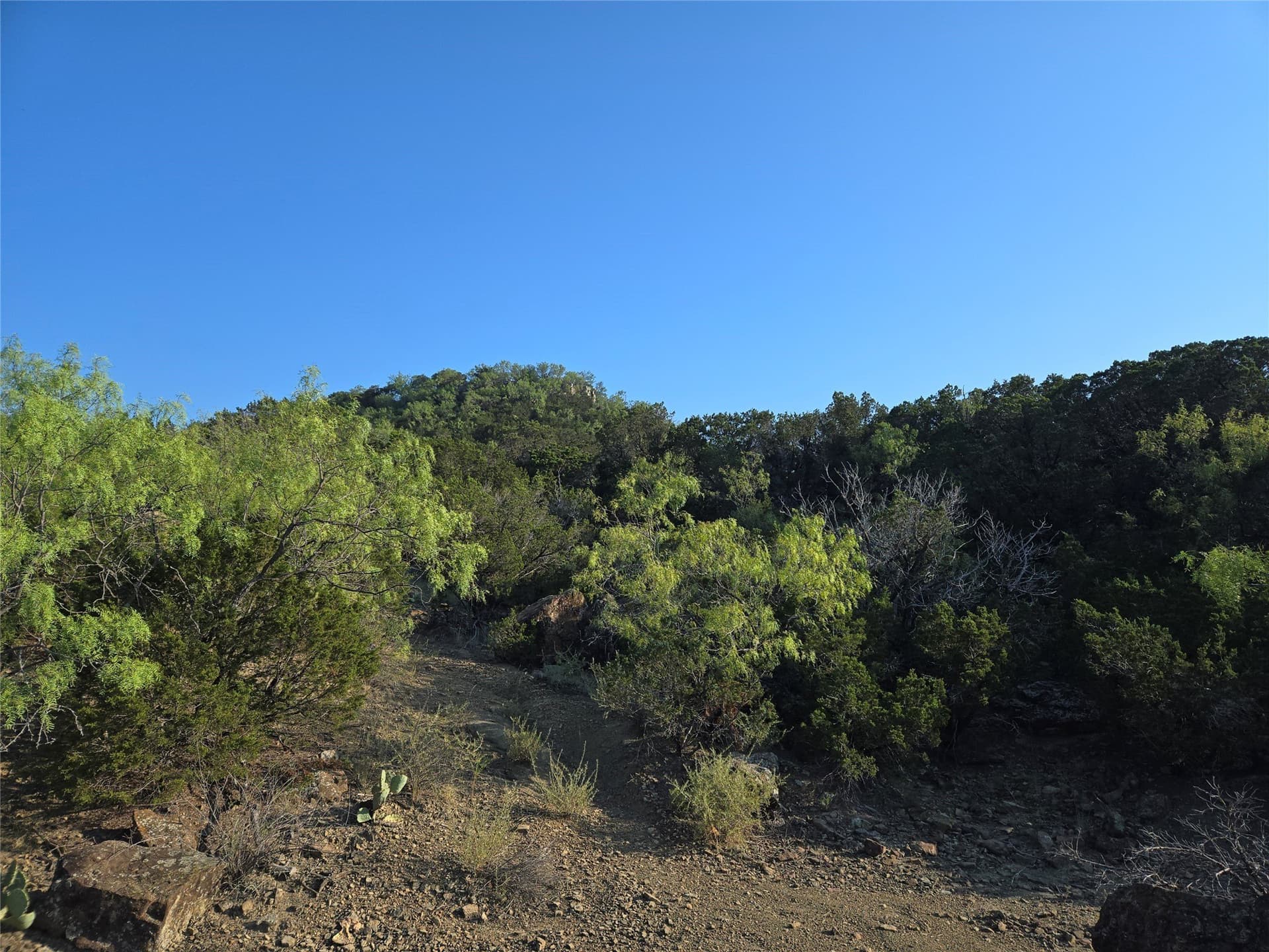 5 acres in Palo Pinto County - photo 8