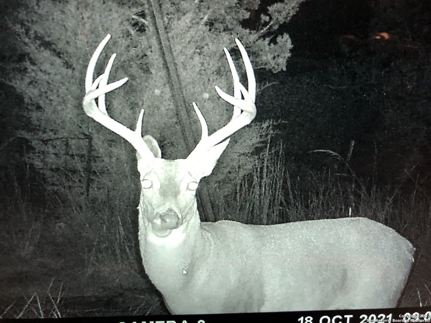 79.44 acres in Kerr County - photo 45