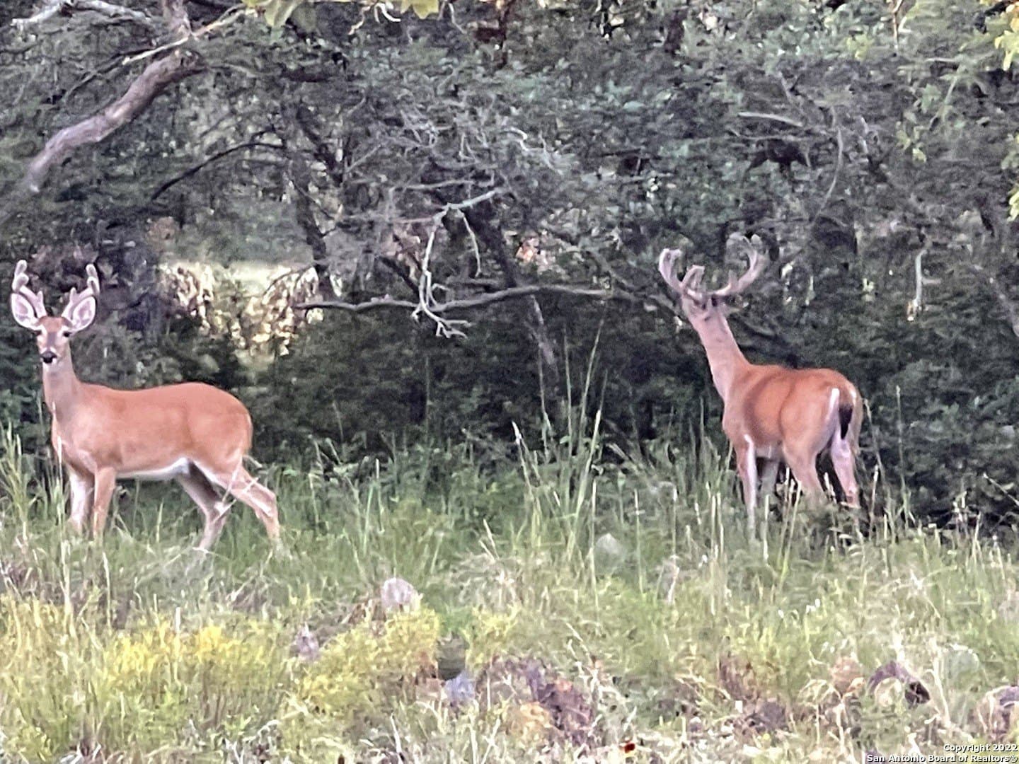 79.44 acres in Kerr County - photo 47