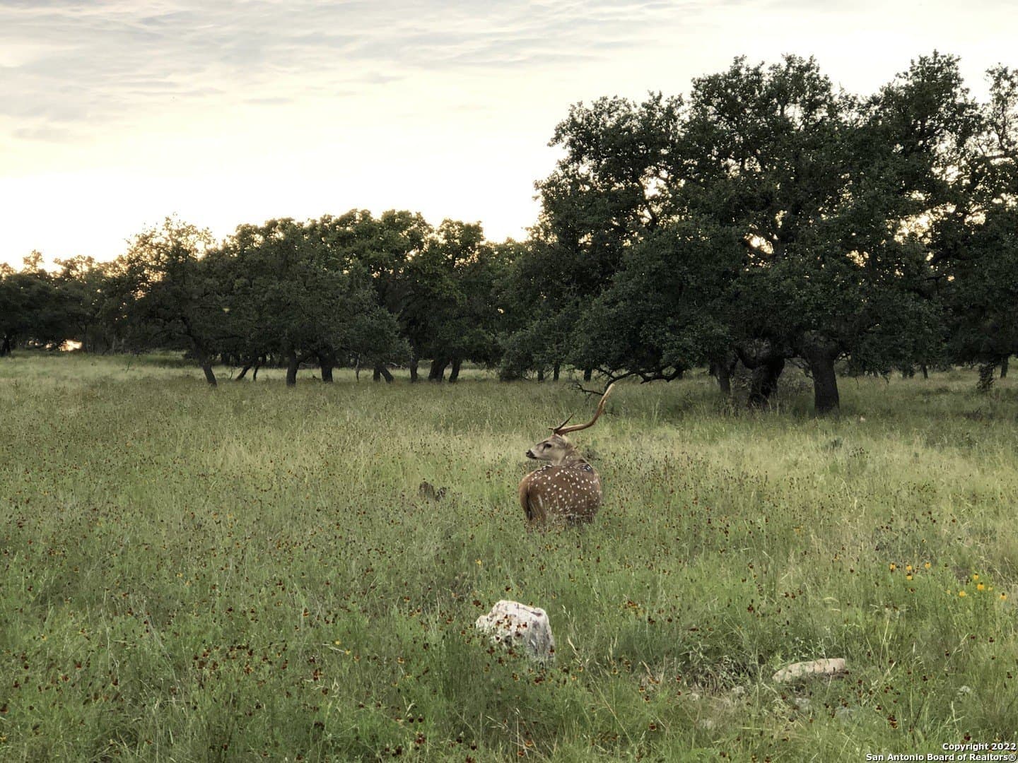79.44 acres in Kerr County - photo 42