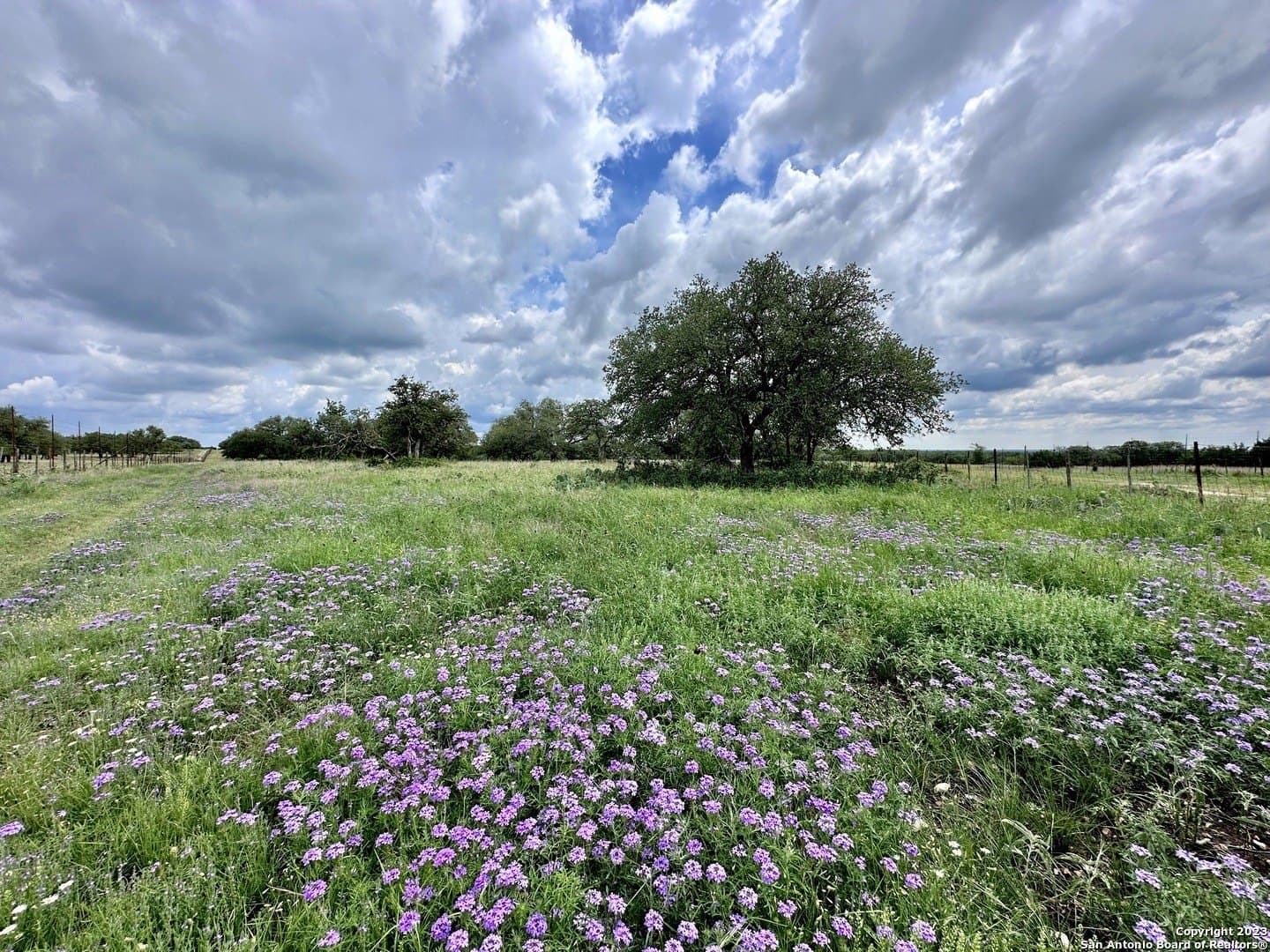 79.44 acres in Kerr County