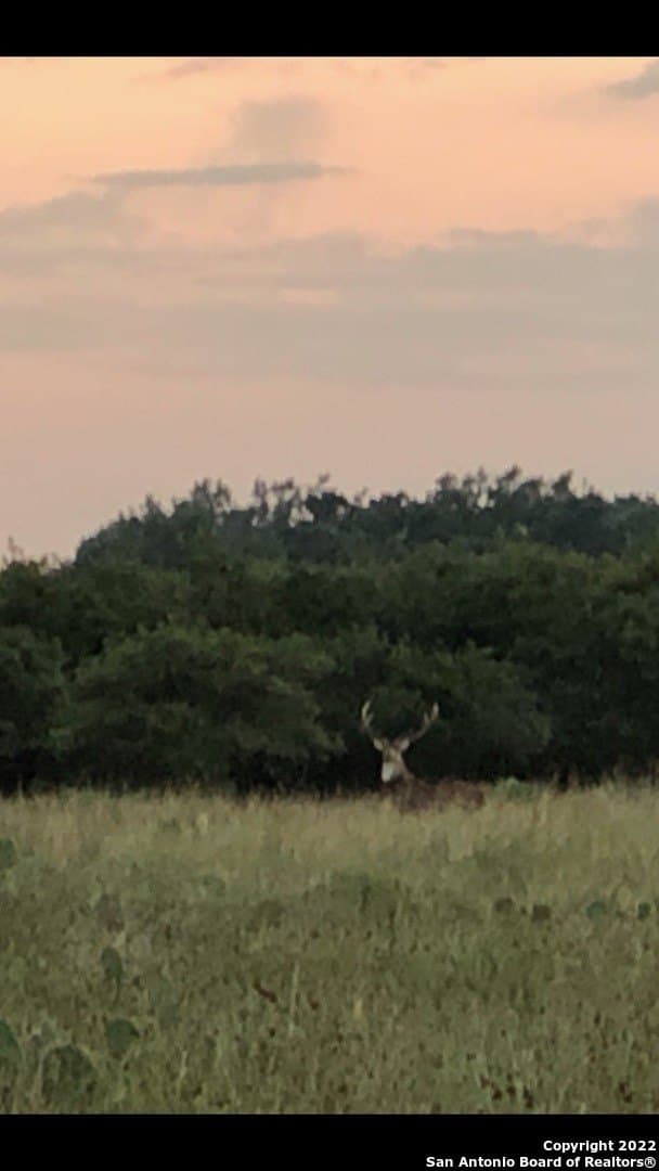 79.44 acres in Kerr County - photo 41