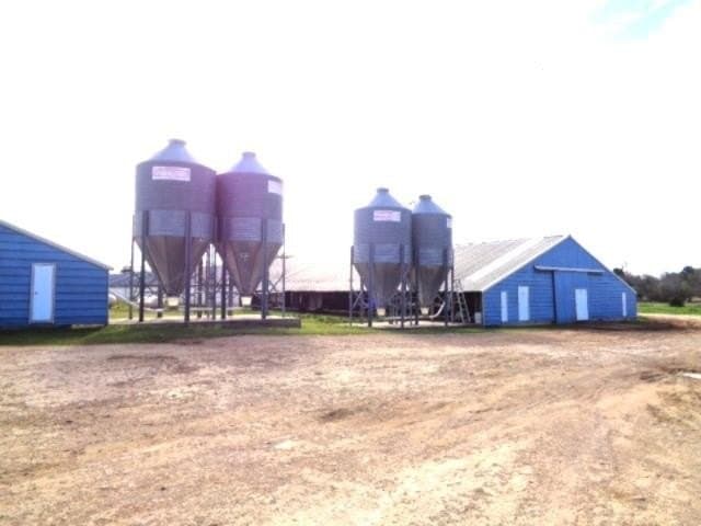 80 acres in Upshur County featured view