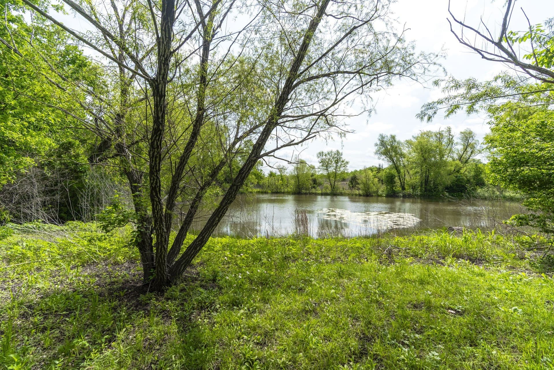 2.5 acres in Ellis County gallery image 2