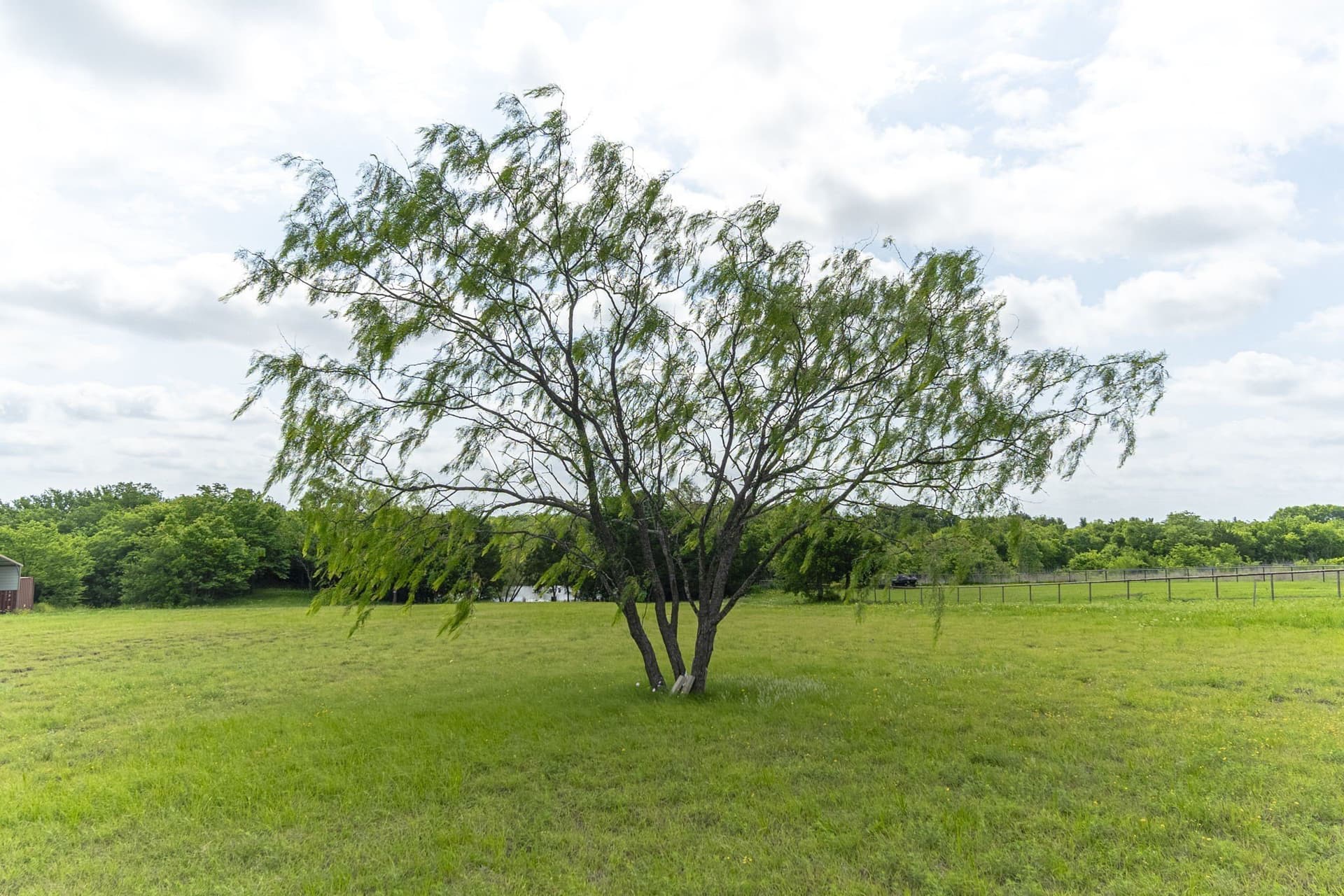 2.5 acres in Ellis County gallery image 4