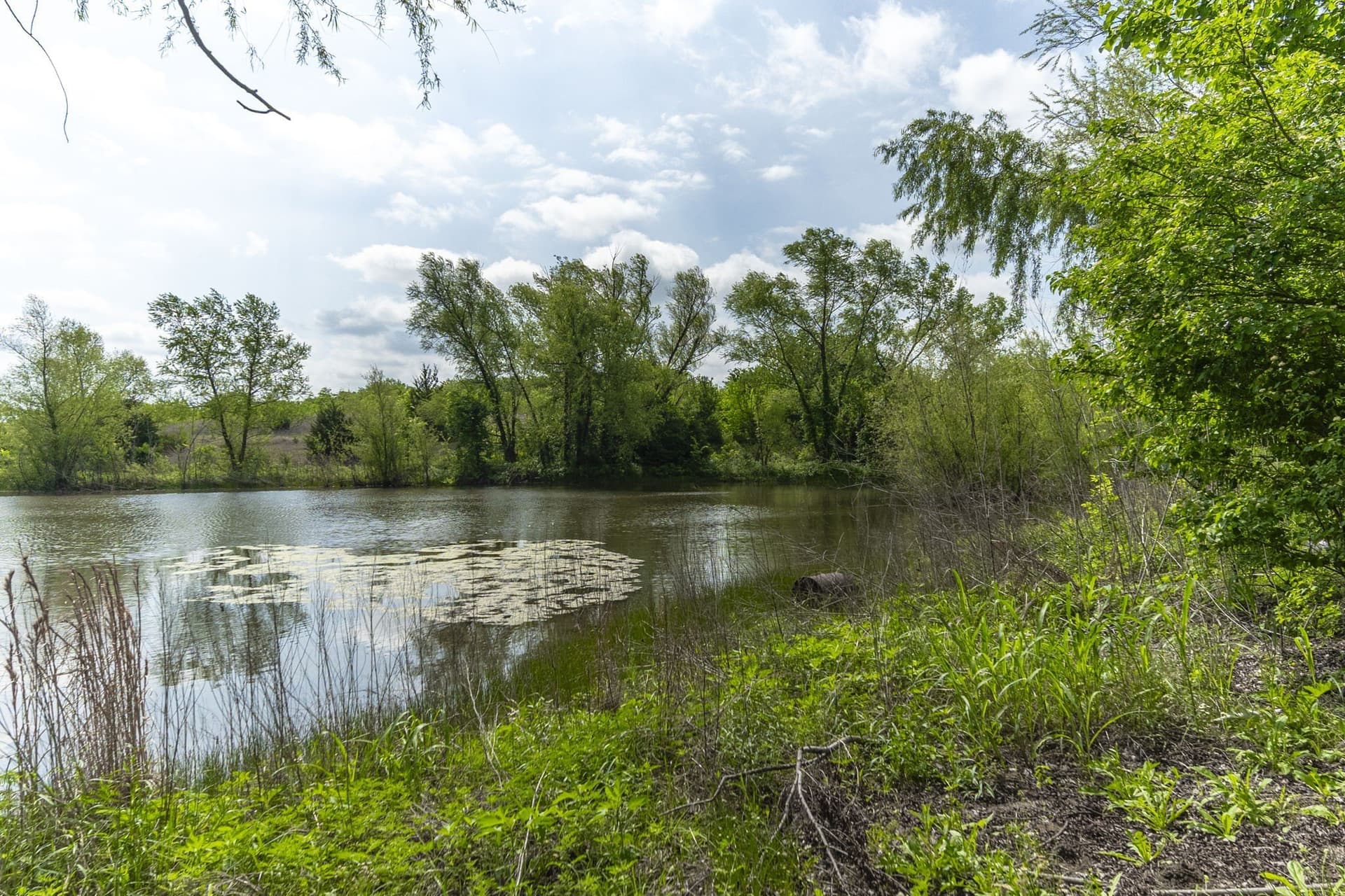 2.5 acres in Ellis County gallery image 3
