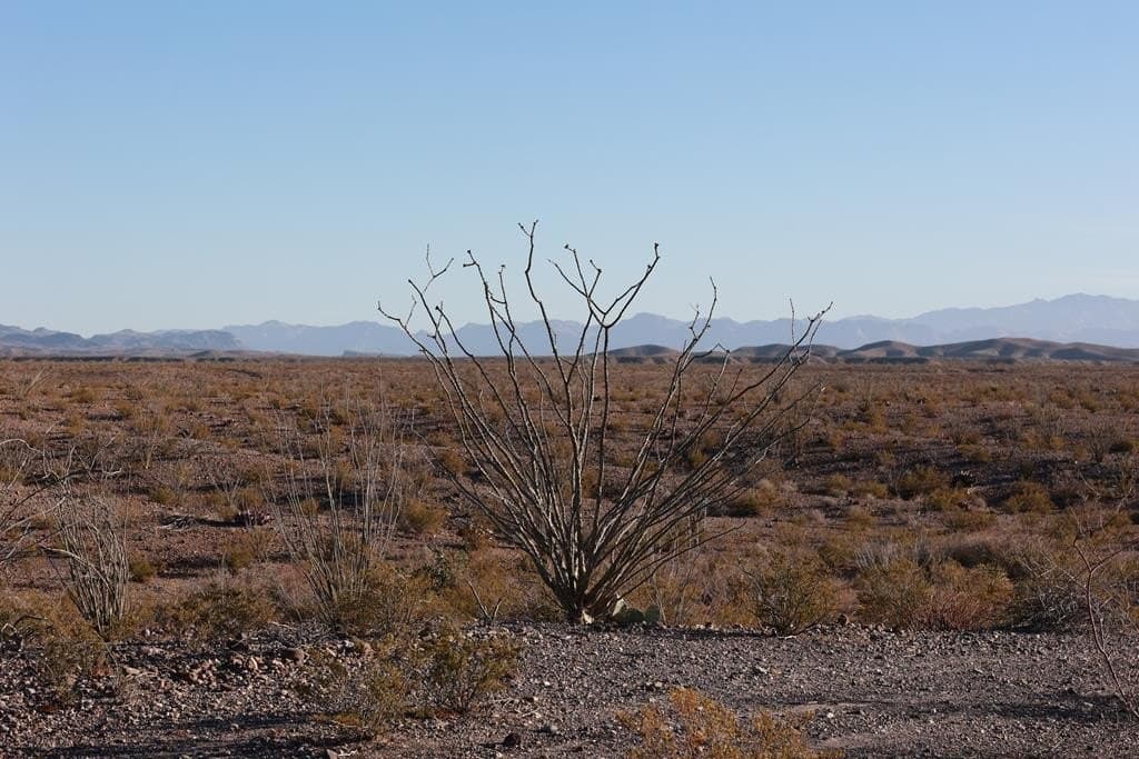 10.19 acres in Presidio County