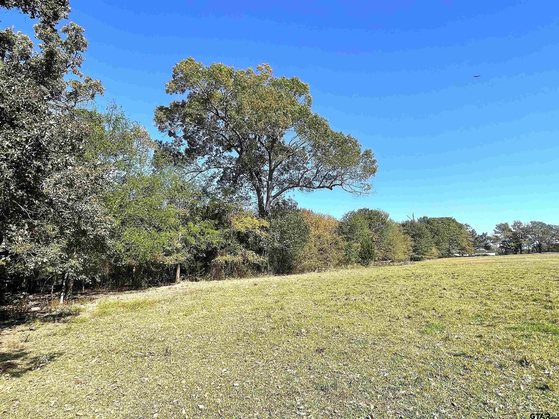 26 acres in Bowie County