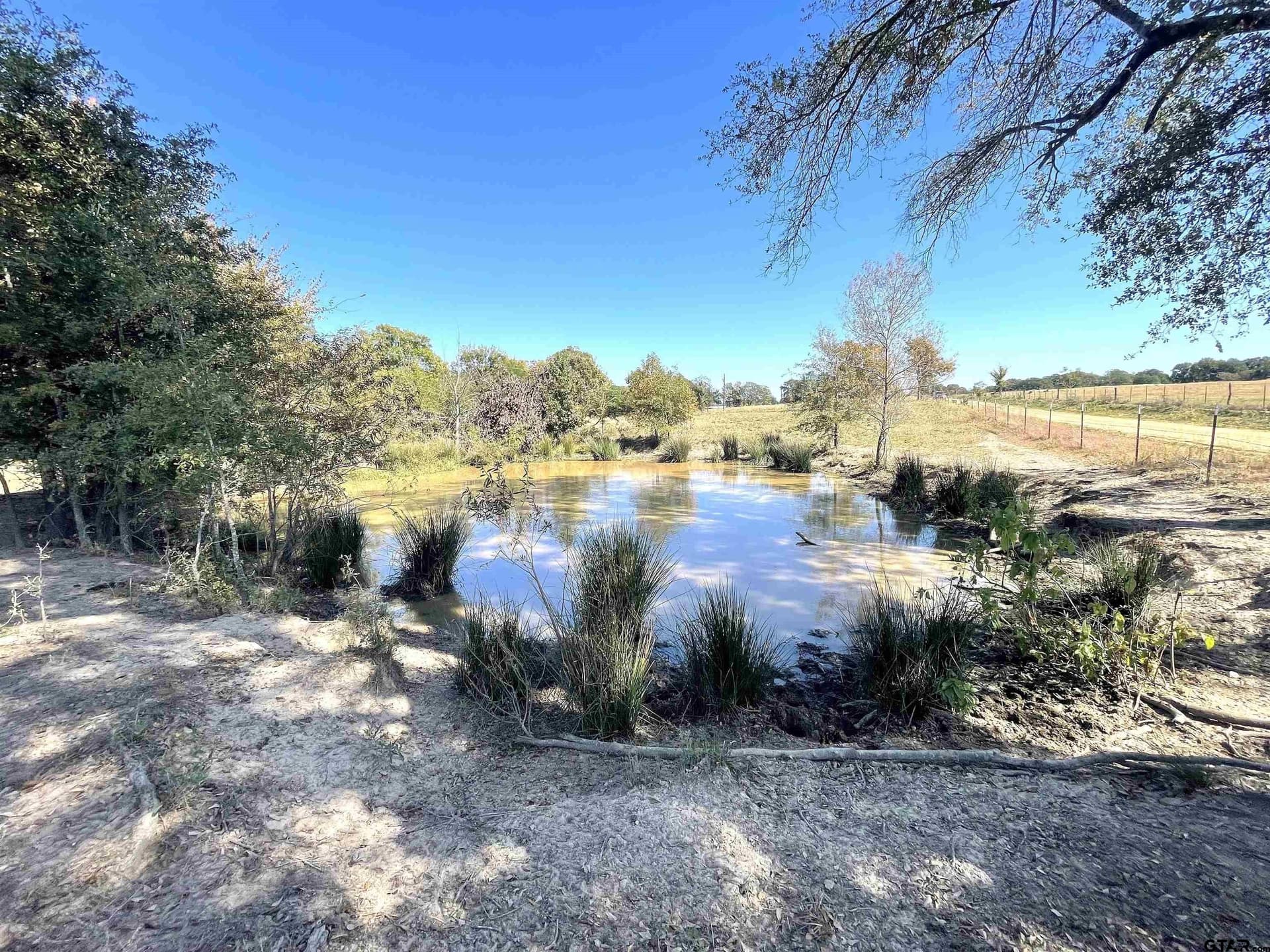 26 acres in Bowie County gallery image 3