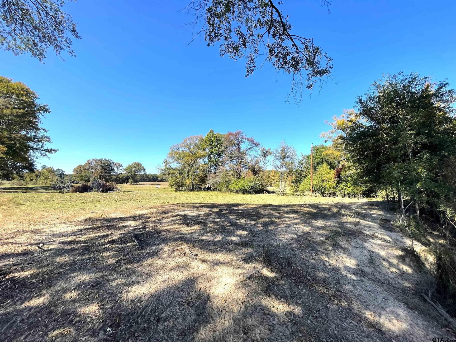 26 acres in Bowie County gallery image 2