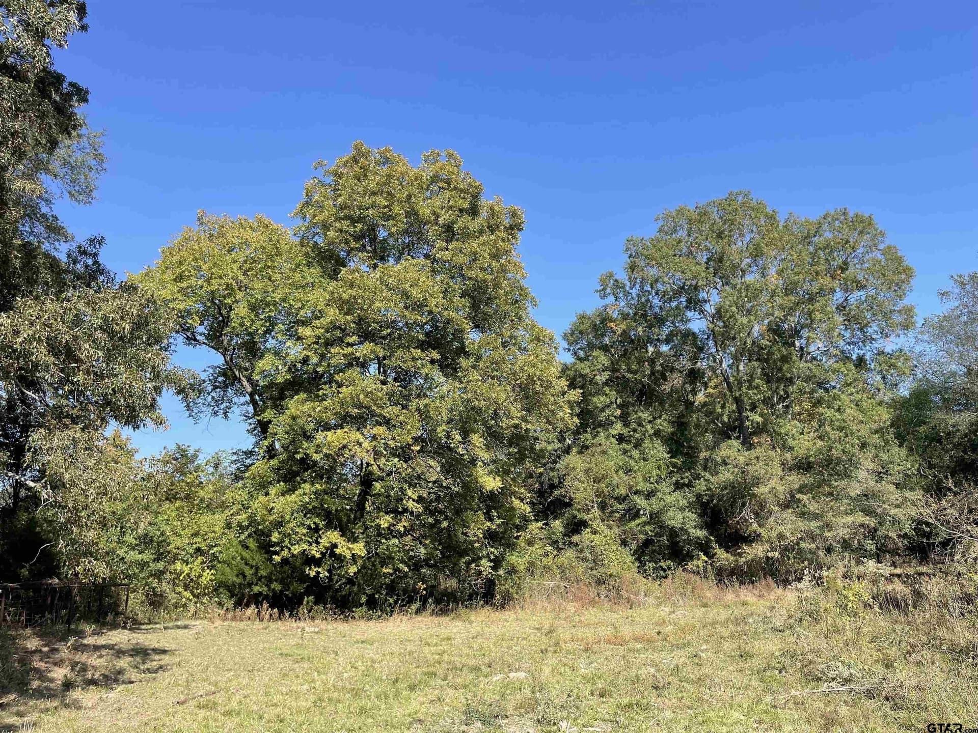 26 acres in Bowie County featured view