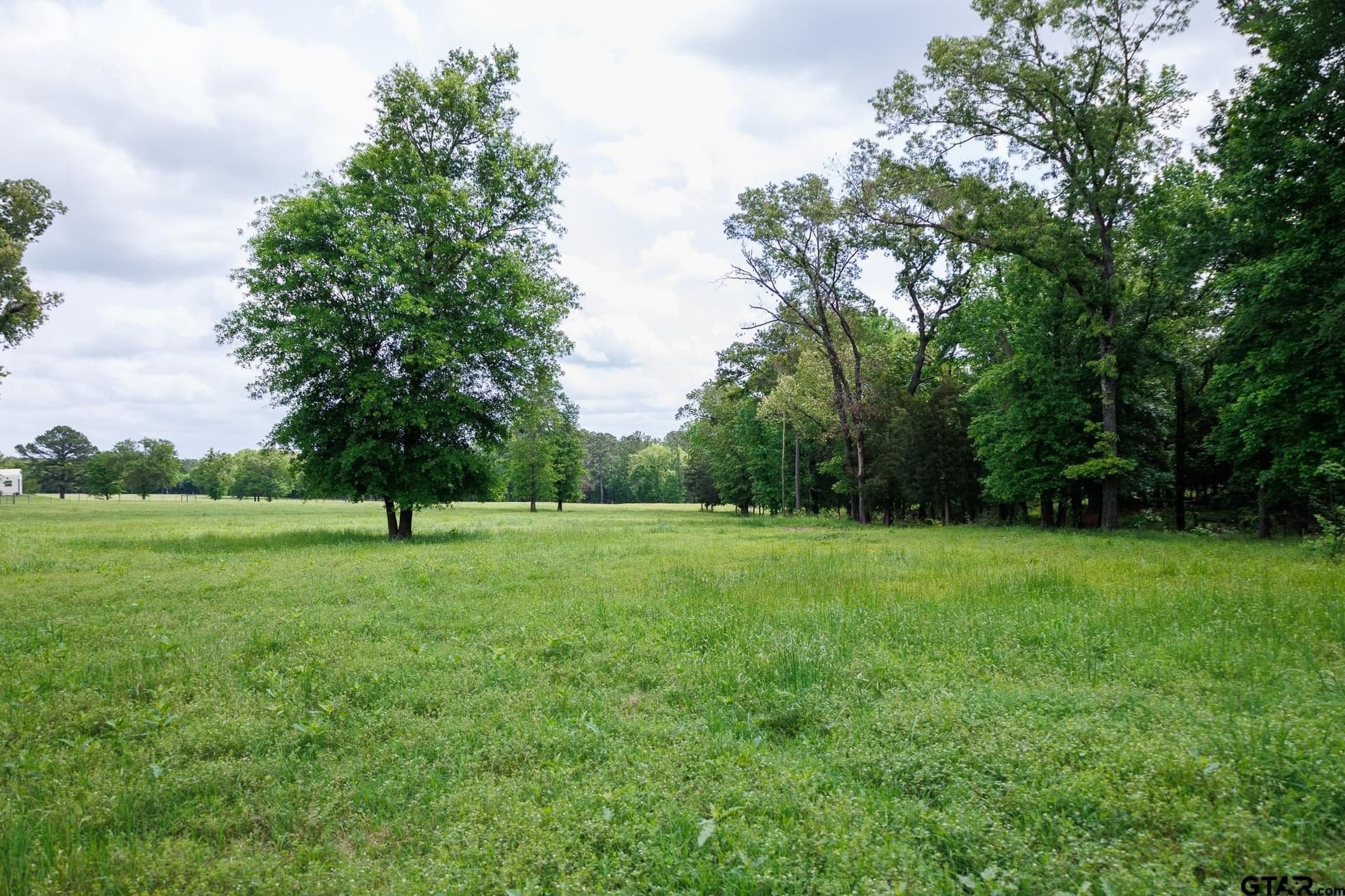 11.5 acres in Anderson County gallery image 3
