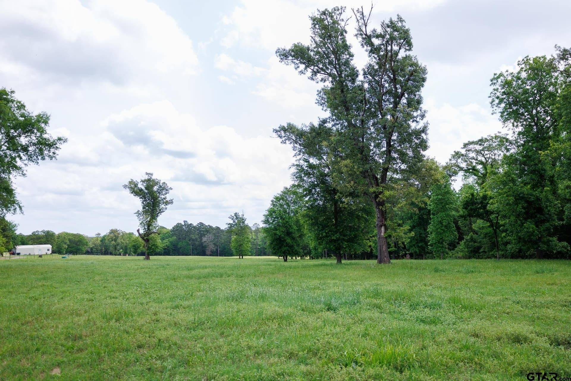 11.5 acres in Anderson County gallery image 2