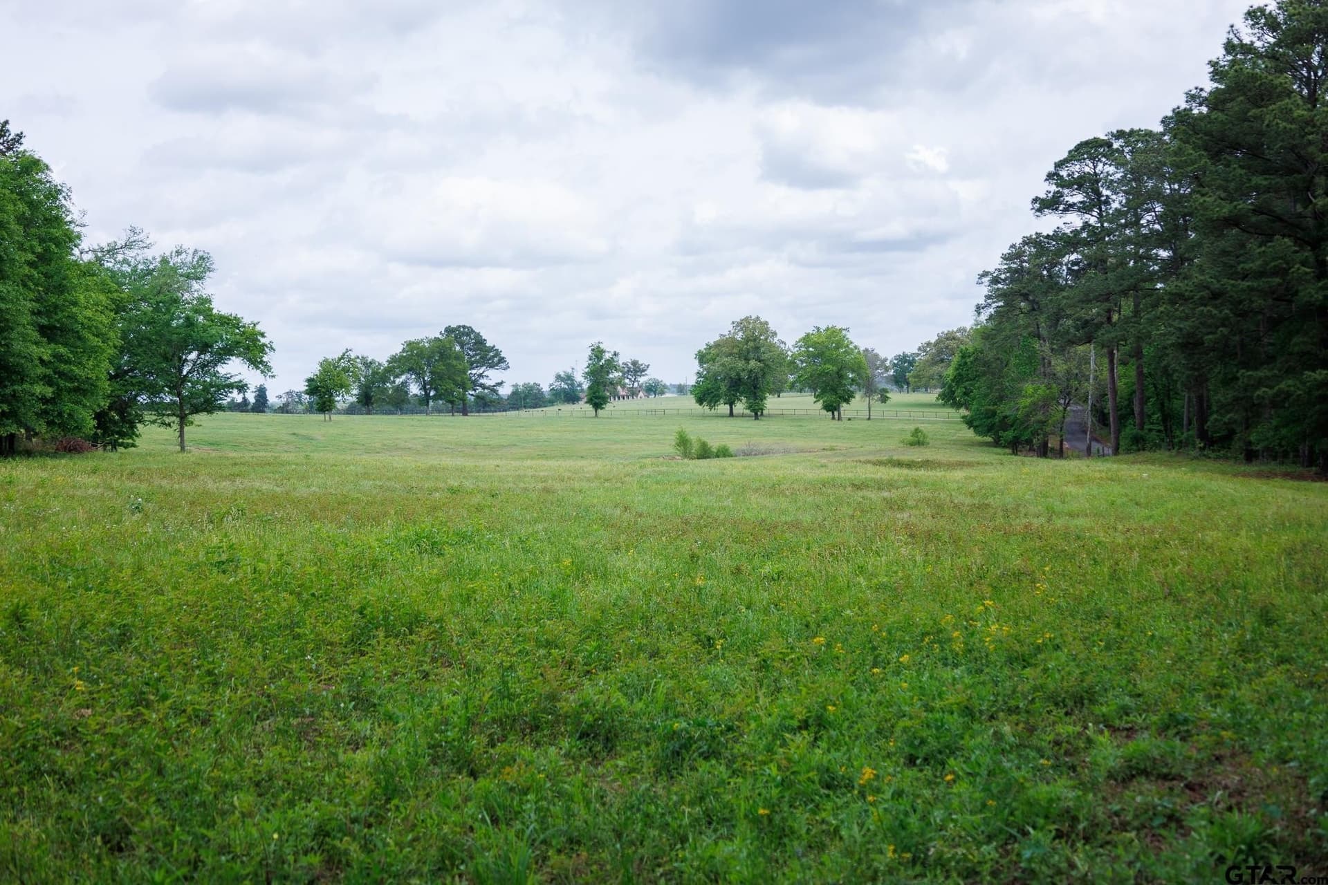 11.5 acres in Anderson County featured view