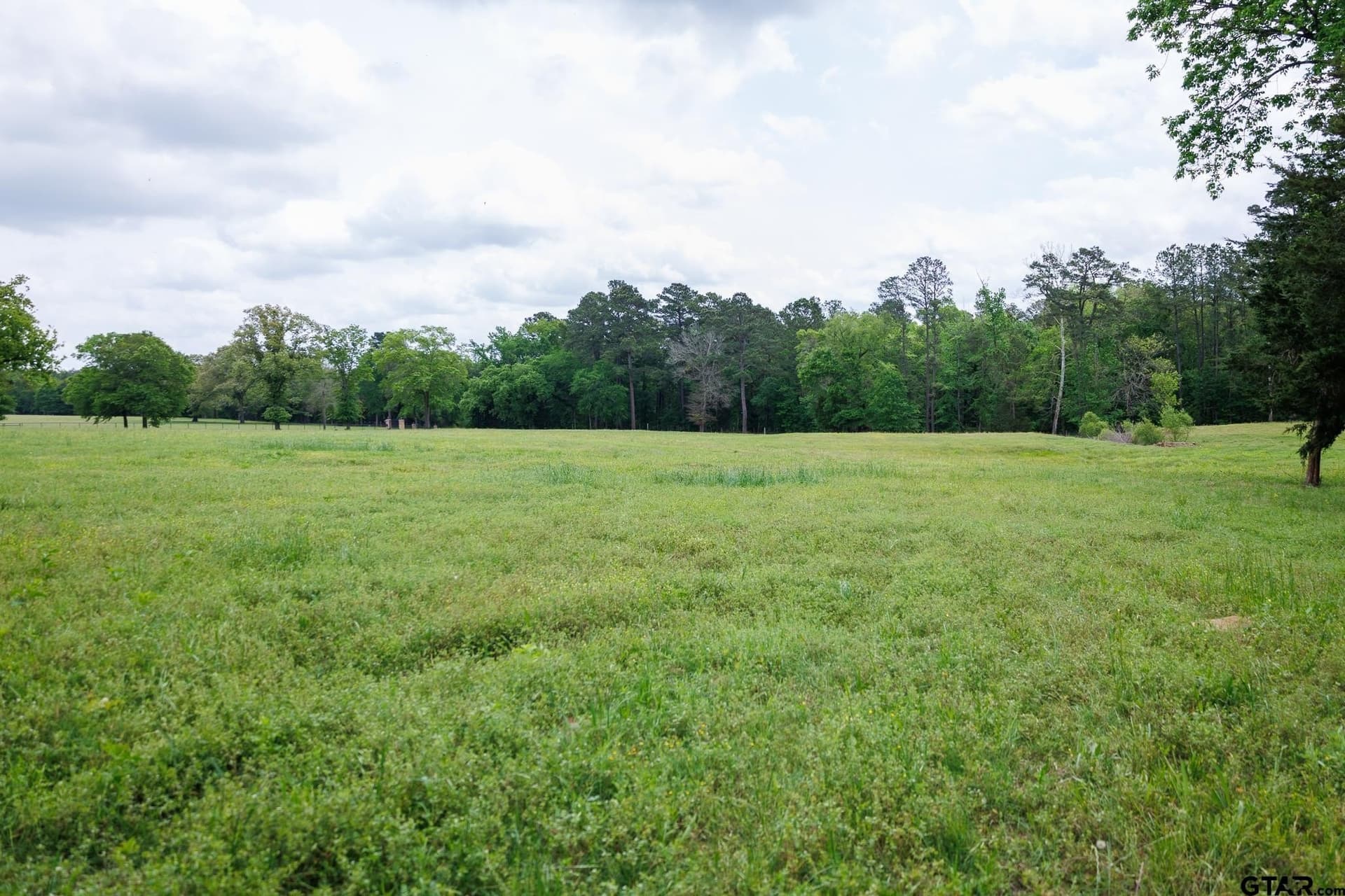 11.5 acres in Anderson County gallery image 4