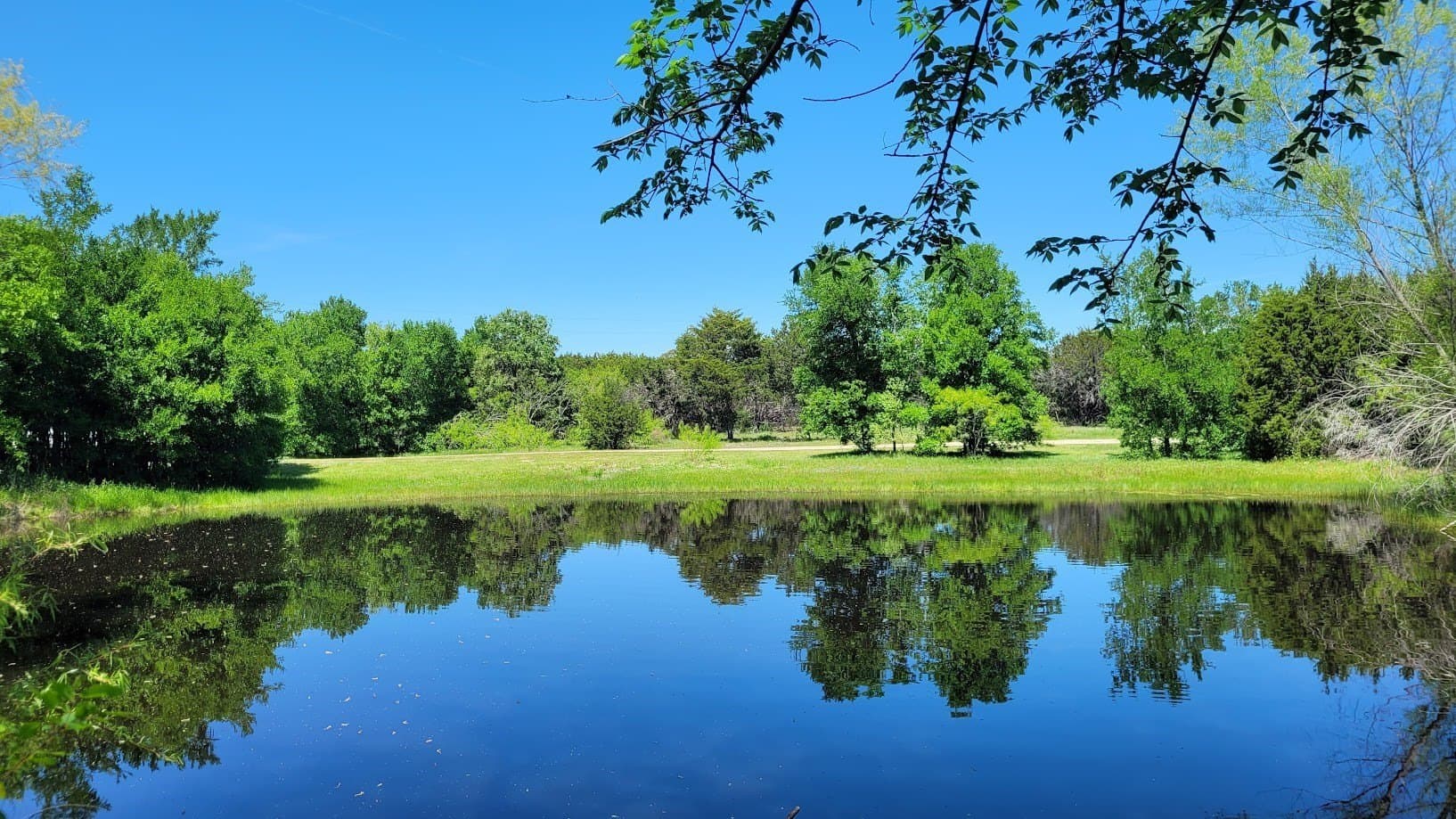 40.31 acres in McLennan County - photo 6