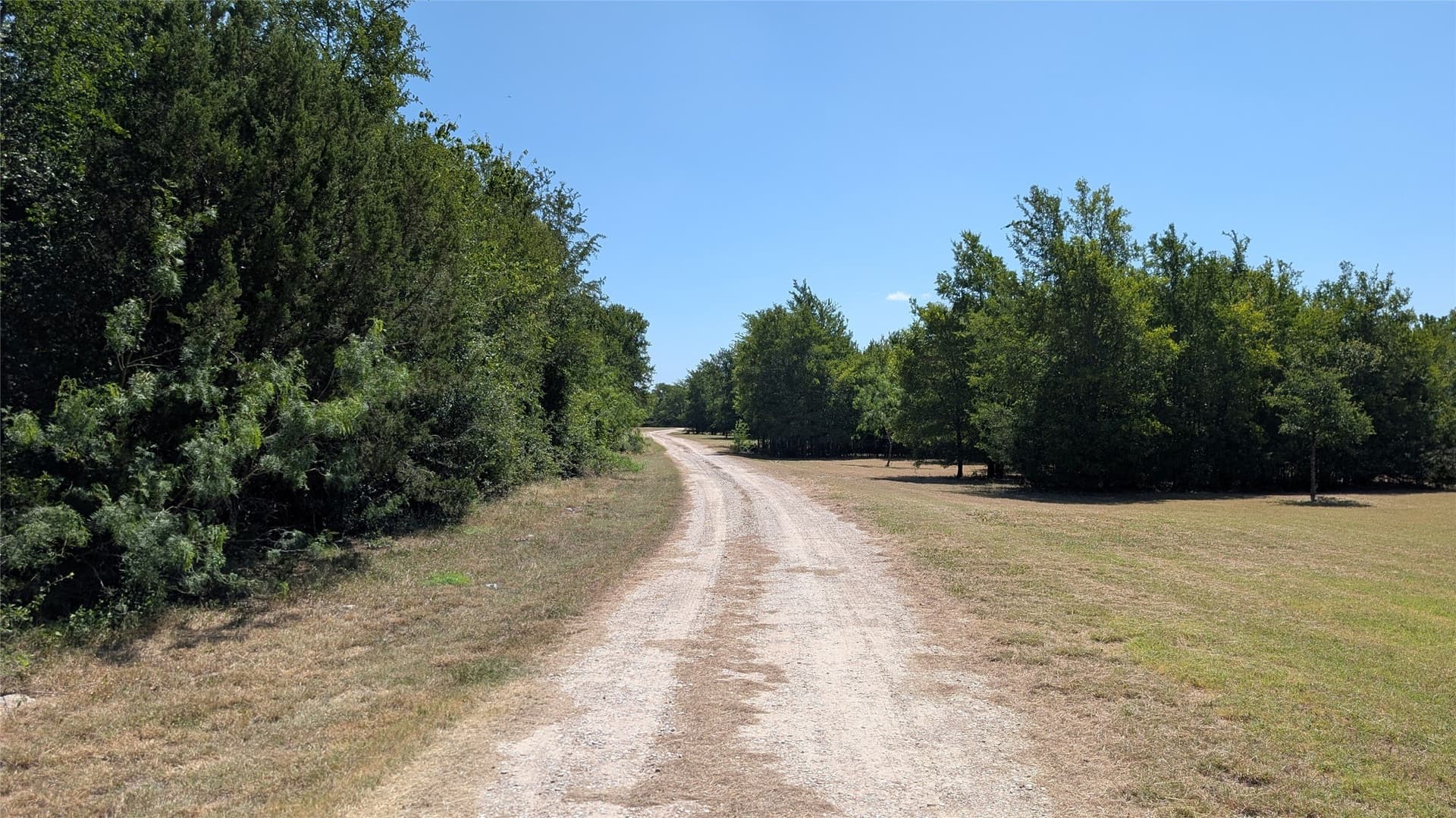 40.31 acres in McLennan County gallery image 2