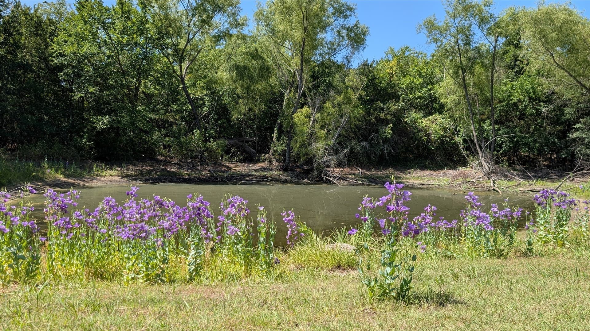 40.31 acres in McLennan County - photo 37