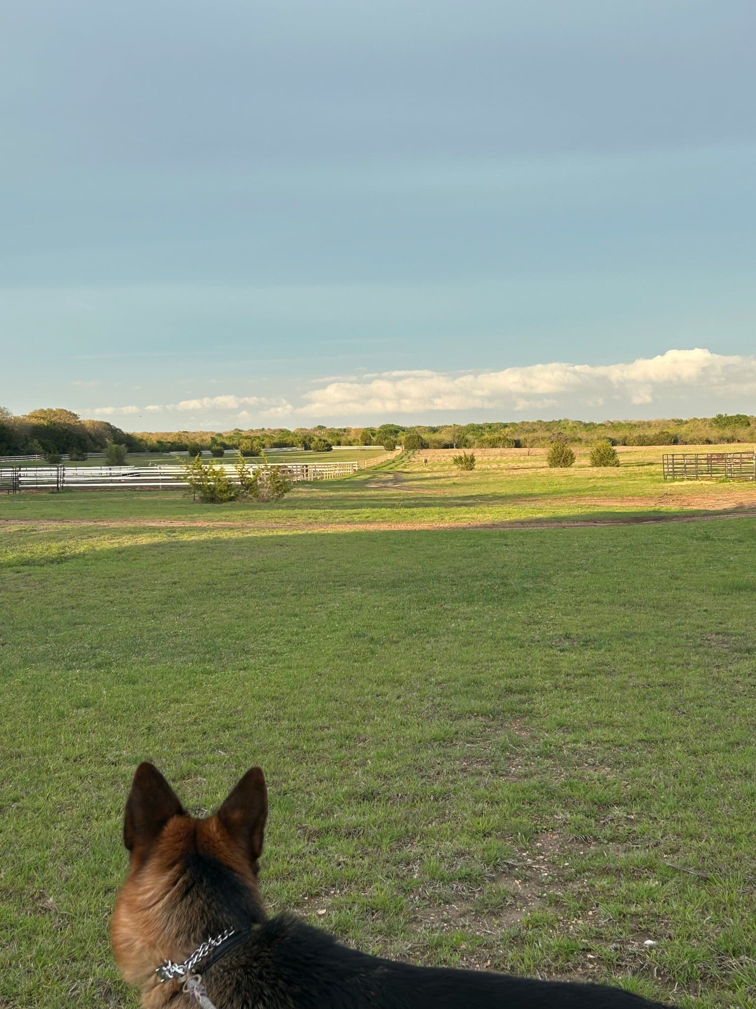 40.31 acres in McLennan County - photo 38