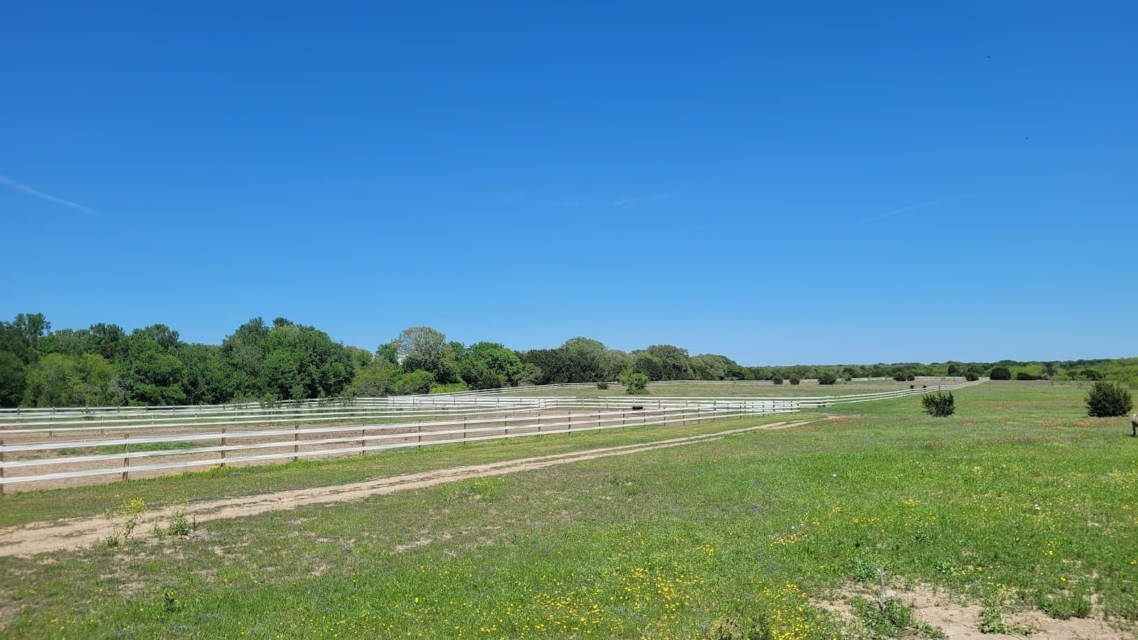 40.31 acres in McLennan County - photo 13