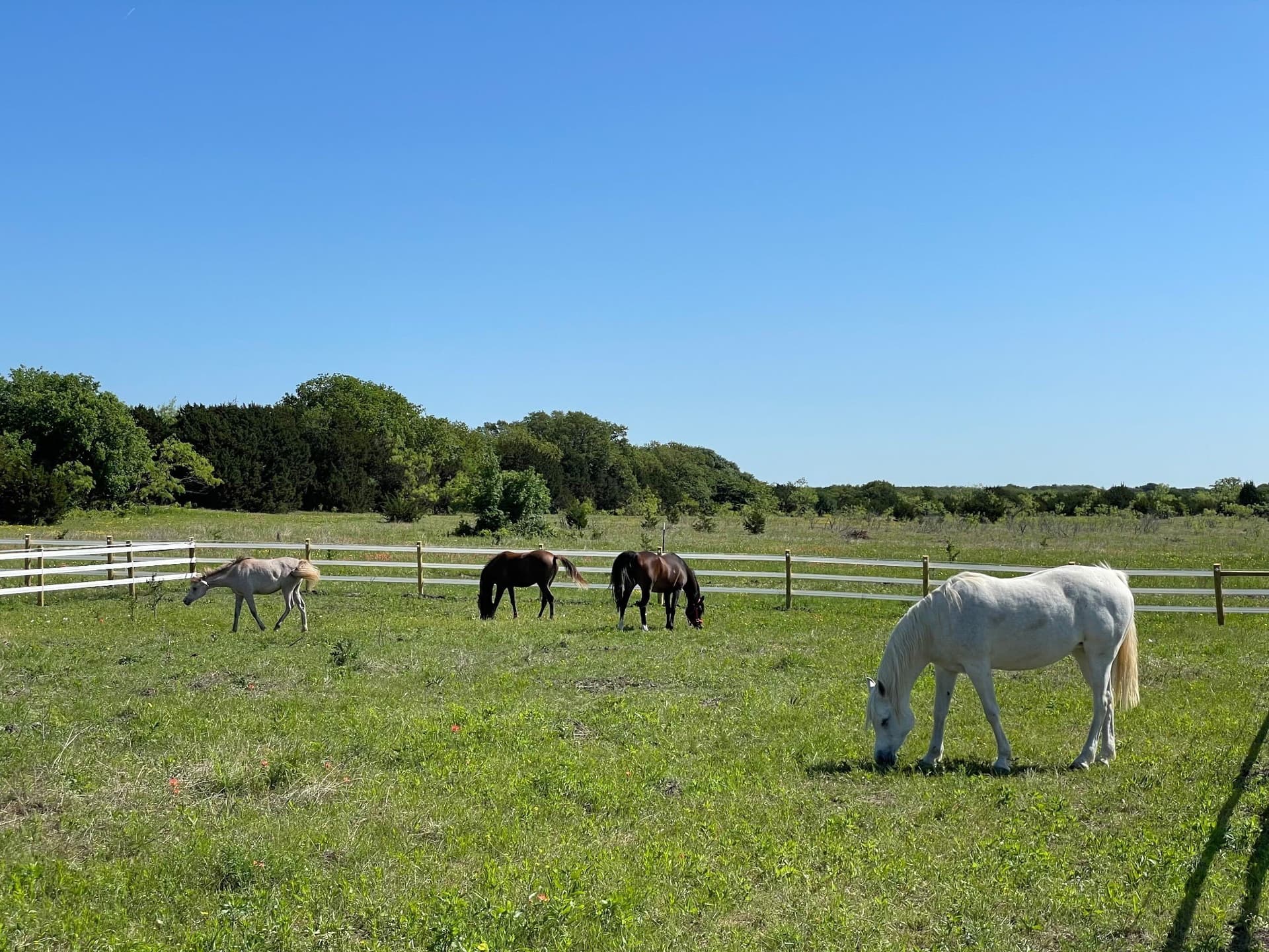 40.31 acres in McLennan County - photo 34