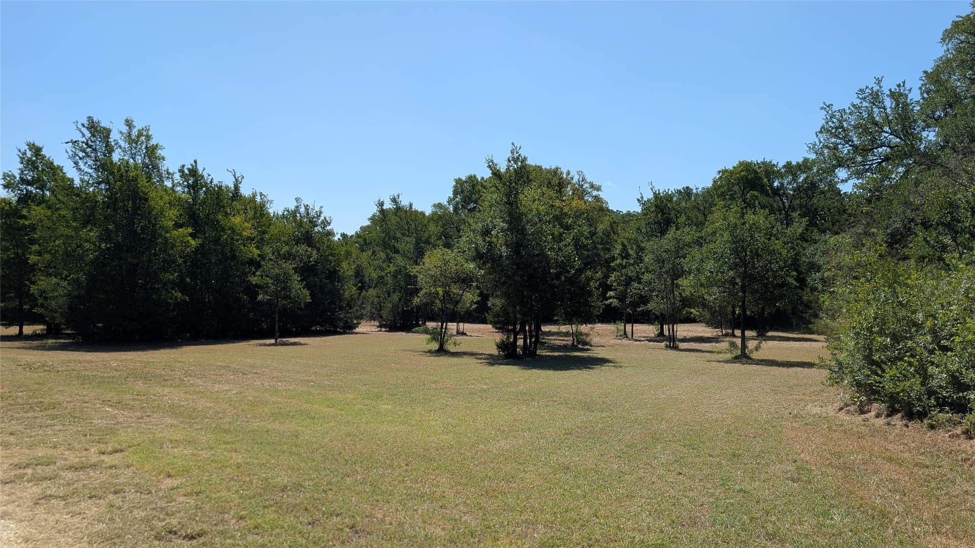 40.31 acres in McLennan County gallery image 4