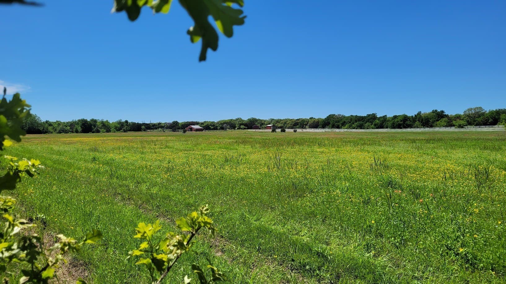 40.31 acres in McLennan County - photo 30